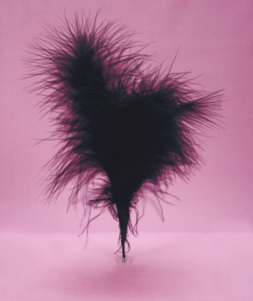 Fluff feathers black