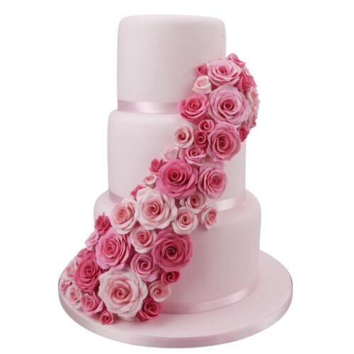 Shows sample of roses on a cake