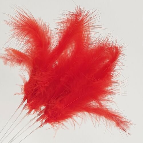 fluffy feathers red