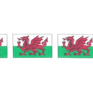 Welsh Flag Berisford Ribbon - 25mm